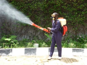 Dedetização contra Mosquitos