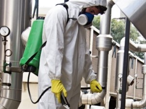 Dedetização e controle de pragas residencial
