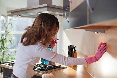 Higienização do ambiente evita a presença de insetos