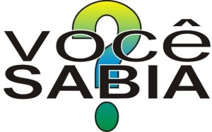 Curiosidades Sobre Pragas Urbanas