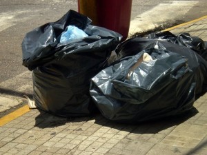 LIXO E PRAGAS URBANAS