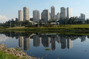 ONDE OS MOSQUITOS VIVEM E O QUE ELES COMEM