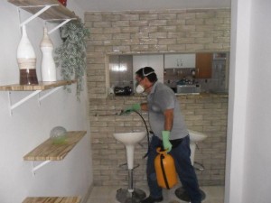 Dedetização Amadora