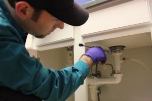TRATAMENTO CONTRA BARATAS