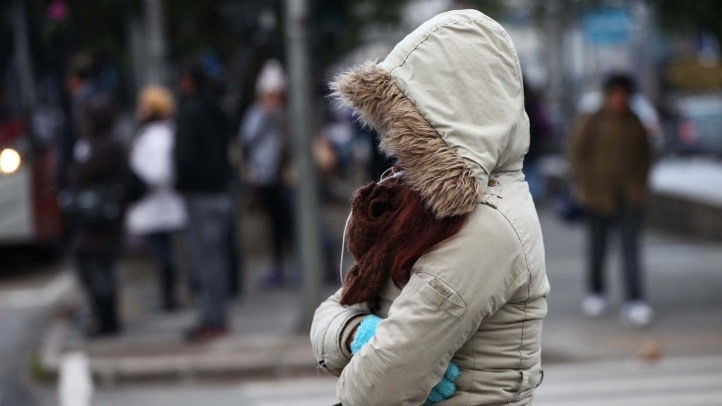 Pragas Urbanas no Inverno – Ribeira Dedetizadora