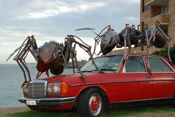 04 Formas Fáceis para se Livrar das Formigas no Carro