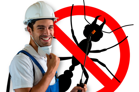 Banner menor pest control