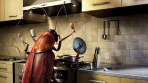 Dificuldades na inspecao ambiental e de infestacao de baratas